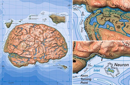 brainmap.jpg