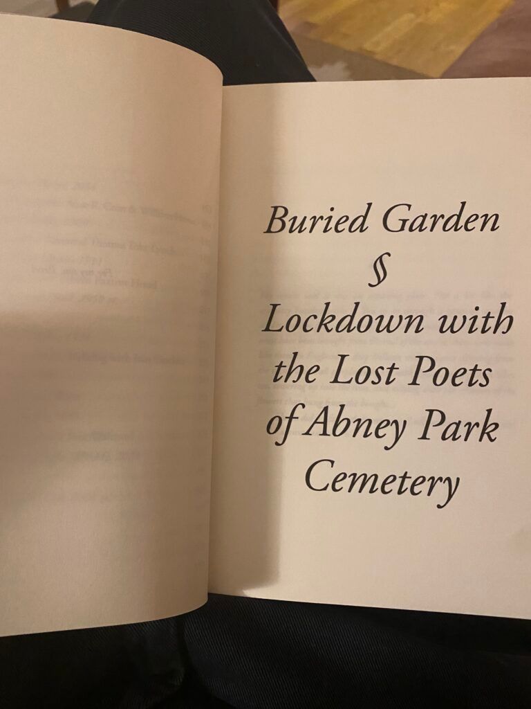 Boken Buried Garden