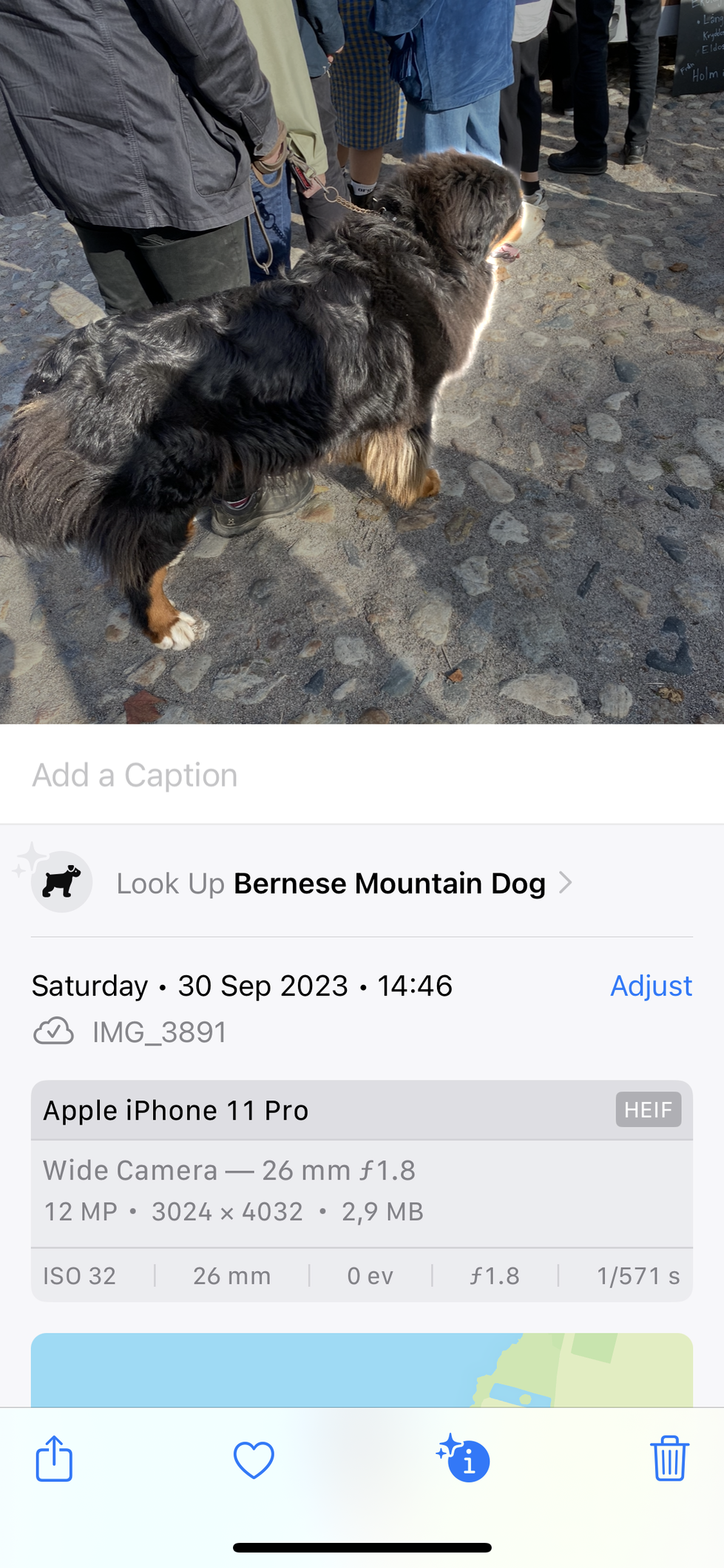 iOS hund