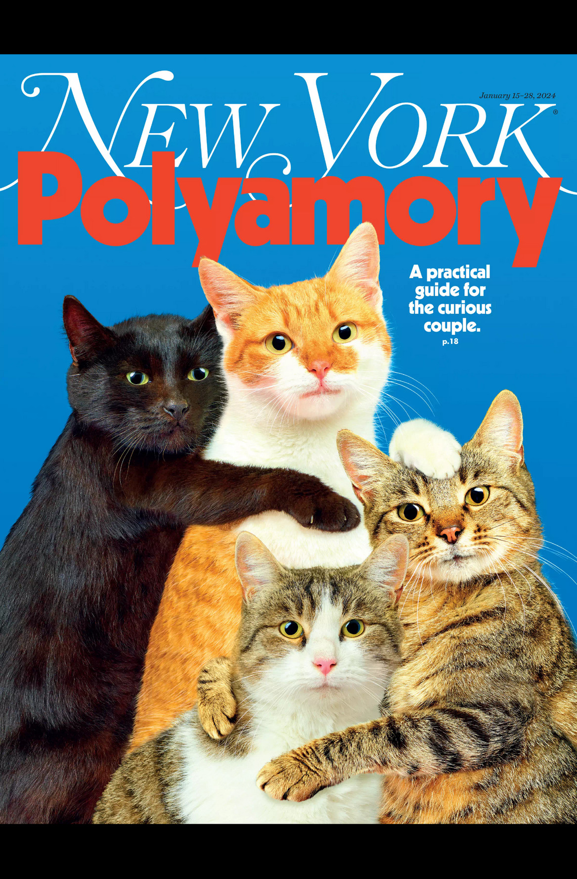 New York Magazine cover